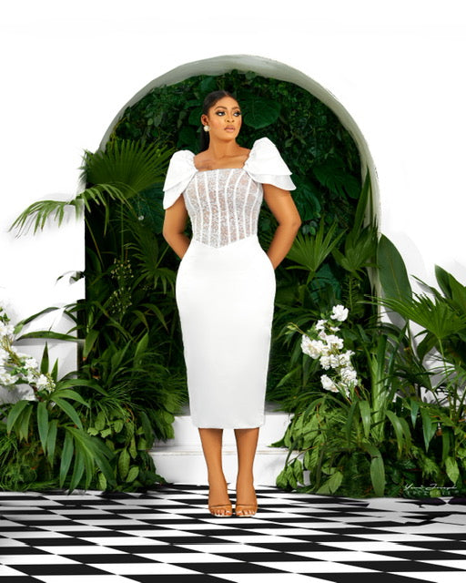 The Dress Biwom